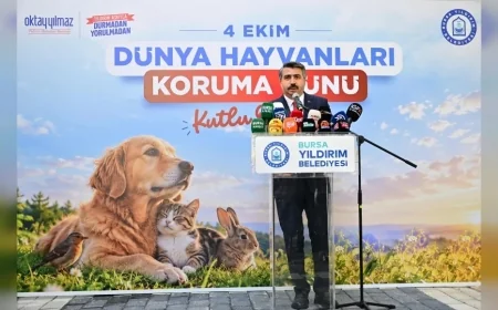 Yıldırım Belediye Başkanı Oktay Yılmaz: “Sokak hayvanlarının sağlıklı ve güvenli yaşamı için çalışıyoruz”