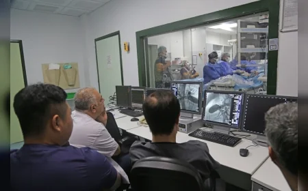Diyarbakır Gazi Yaşargil Eğitim ve Araştırma Hastanesinde İki Çocuk Hastaya İleri Teknolojiyle Pulmoner Kapak İmplantasyonu Yapıldı