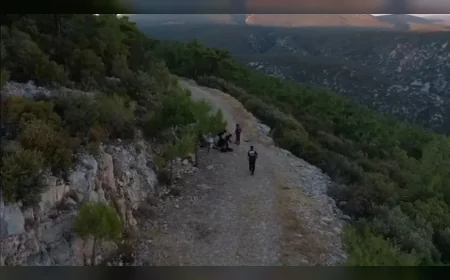 İçişleri Bakanlığından 33 İlde Göçmen Kaçakçılığı Operasyonu: 47 Şüpheli Tutuklandı, 2 Bin 822 Düzensiz Göçmen Yakalandı