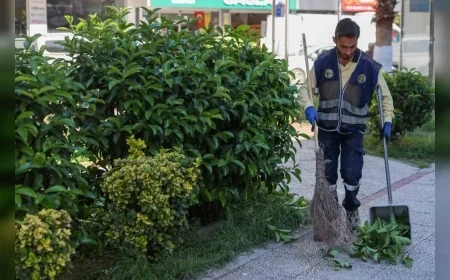 Buca Belediyesi 47 Mahallede Yeşil Alanların Sonbahar Bakımını ve Temizlik Çalışmalarını Sürdürüyor
