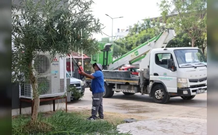 Mersin Toroslar Belediyesi İlçe Genelinde Ağaç Budama ve Bakım Çalışmalarıyla Çevre Güvenliğini Artırıyor