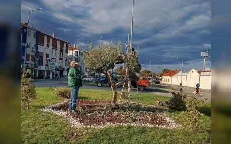 Ayvalık Belediyesi Park ve Bahçeler Ekipleri Mezarlıklardan Okul Bahçelerine Kentin Her Noktasında Görev Yapıyor