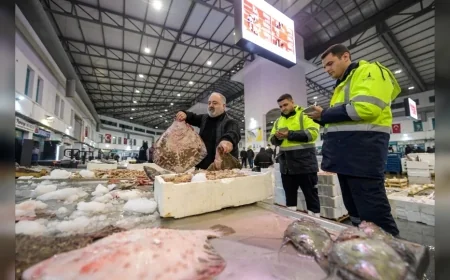 İzmir Büyükşehir Belediyesi Su Ürünleri Hali’nde Eylül Ayında 9 Bin Tonu Aşan Balık İşlem Gördü