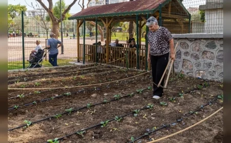 İzmir’de Beyin Sapı Kanaması Geçiren Sevim Hanyalı Mahalle Bostanında Toprakla Yaşama Yeniden Tutundu