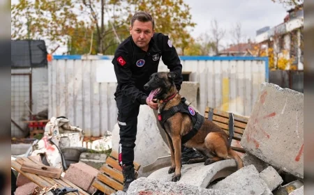 Maltepe Belediyesi Afetlere Karşı Hazırlık Çalışmalarını Sürdürüyor, 800 Mahalle Afet Gönüllüsü Sahada Görev Almaya Hazır!