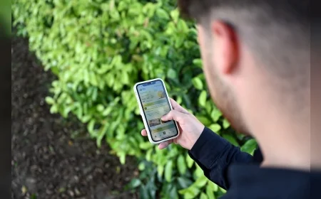 Mersin Büyükşehir Belediyesinin ‘Çevresin’ Uygulamasıyla Çevre Denetimi Cep Telefonlarına Taşındı!