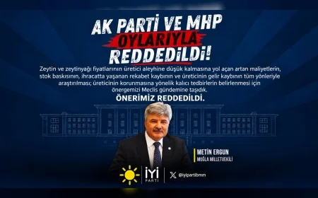 İYİ Parti Muğla Milletvekili Prof. Dr. Metin Ergun'un Zeytin Üreticileri İçin Verdiği Araştırma Önerisi AK Parti ve MHP Oylarıyla Reddedildi