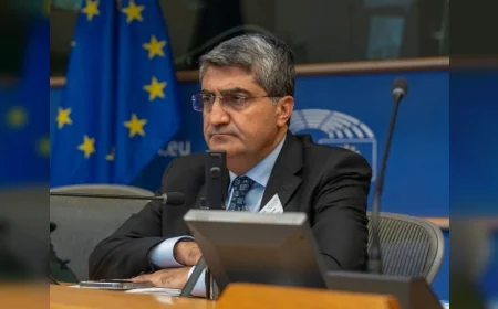 DEVA Partisi Genel Başkan Yardımcısı Mehmet Emin Ekmen: “Silahsızlanma kadar demokratikleşme de önemli”