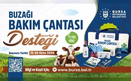 Bursa Büyükşehir Belediyesi'nden Besicilere Buzağı Bakım Çantası Desteği