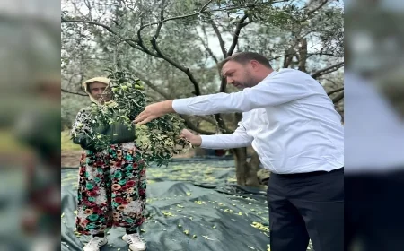 CHP İzmir İl Başkanı Utku Gümrükçü Dikili’den Seslendi: “Daldaki Altın Tarlada Kalacak, Acil Önlem Alın”