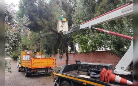Efeler Belediyesi Yağışlı ve Fırtınalı Havalarda Olası Kazaları Önlemek İçin Parklarda Budama Çalışmalarını Sürdürüyor!