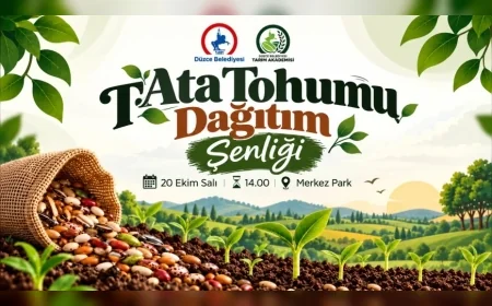 Düzce Belediyesi Merkez Park’ta 16 Bin Ata Tohumunu Vatandaşlara Ücretsiz Dağıtacak