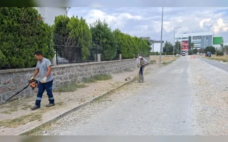 Yunusemre Belediyesi Park ve Yeşil Alanlarda Bakım ve Çevre Düzenleme Çalışmalarını Sürdürüyor