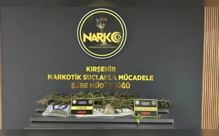 Kırşehir İl Emniyet Müdürlüğünden Uyuşturucu Operasyonu: 1 Kilo 350 Gram Esrar Ele Geçirildi, 1 Şüpheli Tutuklandı