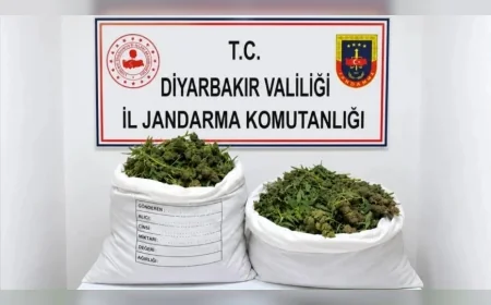 İçişleri Bakanlığı: “Diyarbakır'da 48 Bin 579 Kök Kenevir İmha Edildi, 36 Kilogram Esrar Ele Geçirildi”