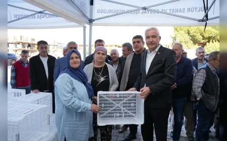 Kemalpaşa Belediyesi, Zeytin Hasadı Öncesinde 656 Çiftçiye 4 Bin Zeytin Kasası Desteği Sağladı