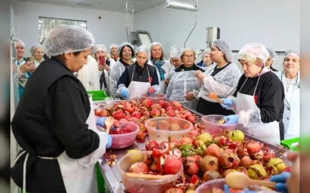 Efeler Belediye Başkanı Anıl Yetişkin, Türk Kadınlar Konseyi Derneği Üyelerini Ağırladı