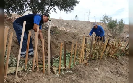 İzmir Büyükşehir Belediyesi Buca’da 5 Dönümlük Alanı 392 Bitkiyle Yeşillendiriyor