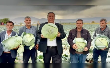 CHP Niğde Milletvekili Ömer Fethi Gürer: “Lahana tarlada kaldı, çiftçi artan maliyetler karşısında zarar ediyor”