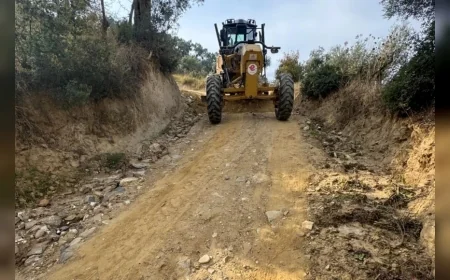 Efeler Belediyesi Yağışlarda Hasar Gören Tarım Arazisi Yollarını Yeniden Ulaşıma Açıyor