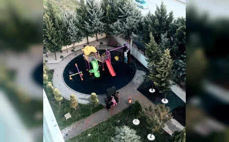 ETİMESGUT’TA 11 ÇINARIN KESİLMESİYLE BAŞLAYAN MAĞDURİYETTE GÖZLER BELEDİYE VE MÜTEAHHİT FİRMAYA ÇEVRİLDİ