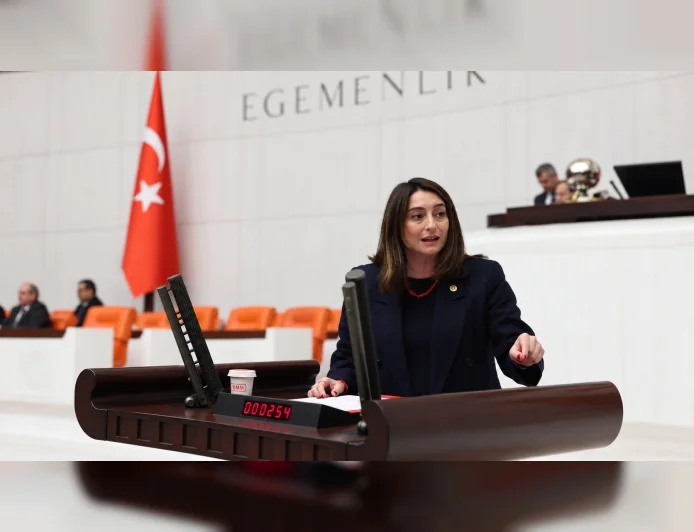 CHP Bartın Milletvekili Aysu Bankoğlu: “Mesele nafaka değil, kadının emeği ve varoluşudur”