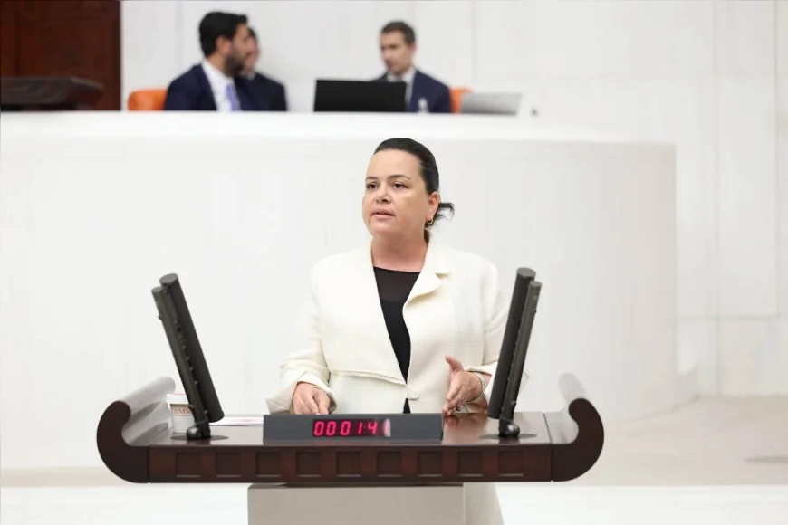 AK Parti Denizli Milletvekili Nilgün Ök: “Yanlışların üzerine kararlılıkla gidilecektir”
