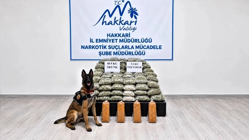 İçişleri Bakanlığı: “Yüksekova’da arı kovanlarına gizlenmiş 91,1 kilogram uyuşturucu ele geçirildi”