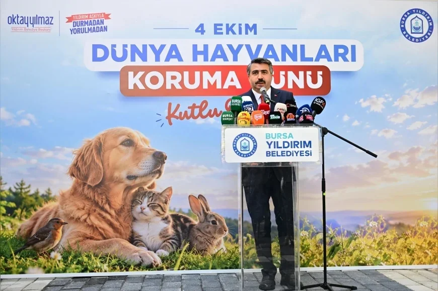 Yıldırım Belediye Başkanı Oktay Yılmaz: “Sokak hayvanlarının sağlıklı ve güvenli yaşamı için çalışıyoruz”