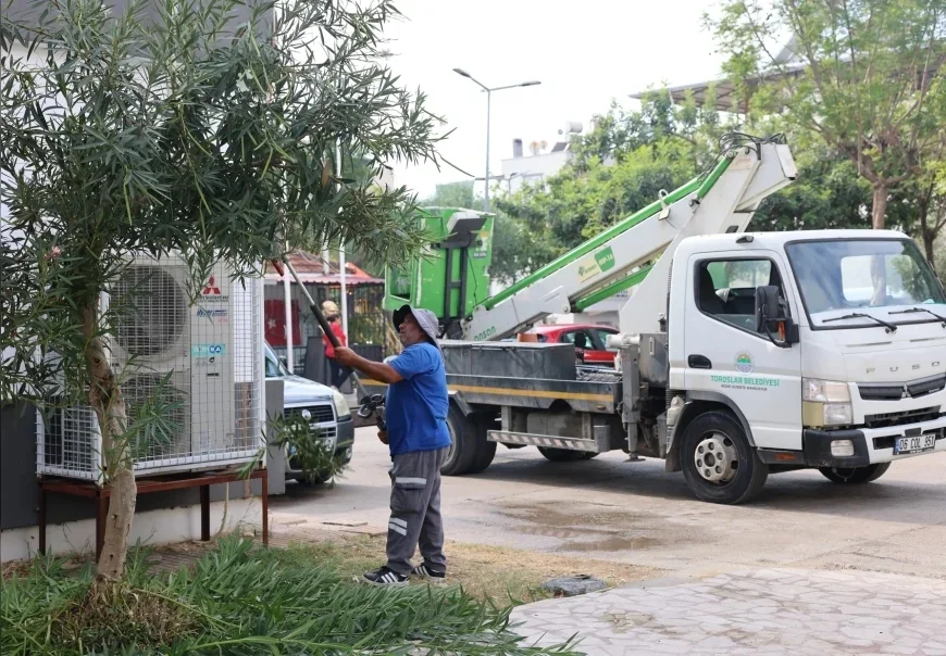 Mersin Toroslar Belediyesi İlçe Genelinde Ağaç Budama ve Bakım Çalışmalarıyla Çevre Güvenliğini Artırıyor