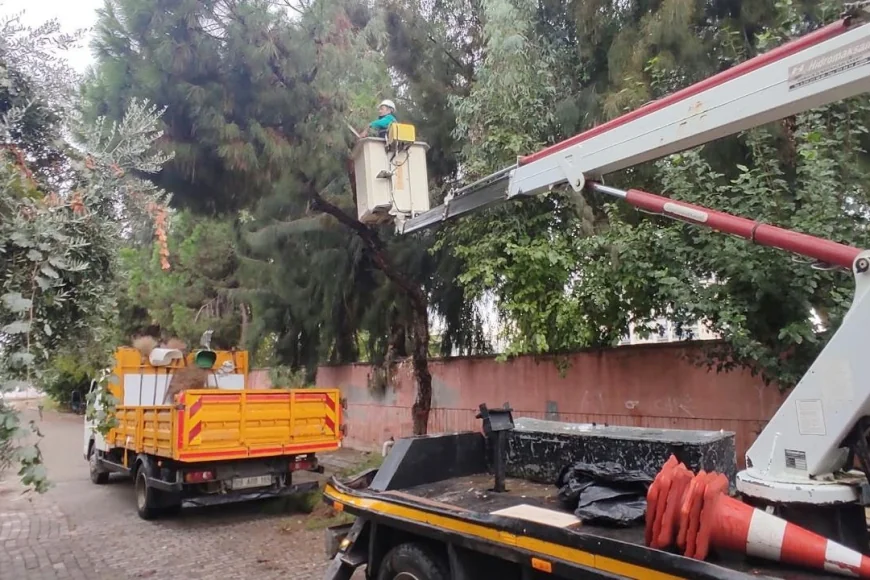 Efeler Belediyesi Yağışlı ve Fırtınalı Havalarda Olası Kazaları Önlemek İçin Parklarda Budama Çalışmalarını Sürdürüyor!