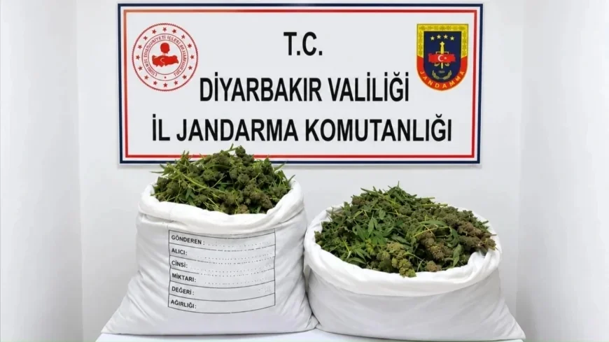 İçişleri Bakanlığı: “Diyarbakır'da 48 Bin 579 Kök Kenevir İmha Edildi, 36 Kilogram Esrar Ele Geçirildi”