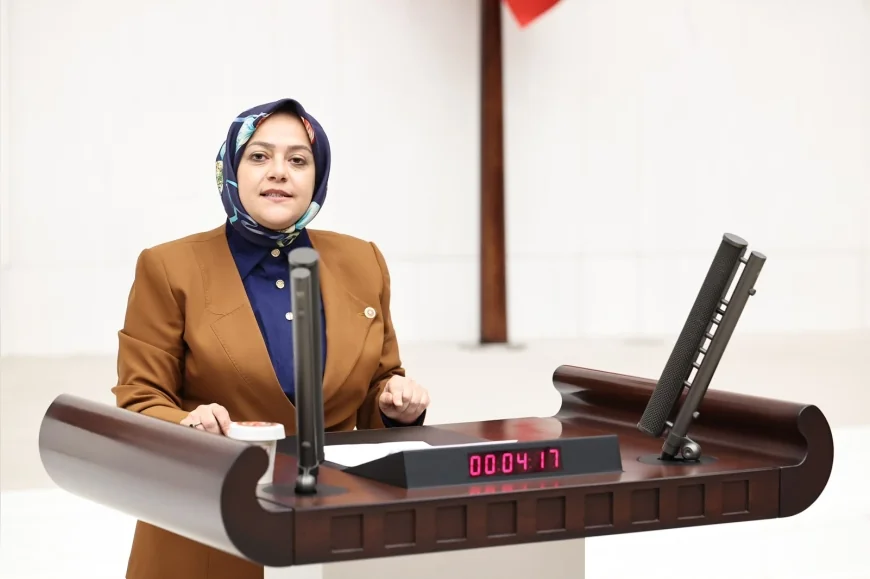 Yeni Yol Grubu Denizli Milletvekili Sema Silkin Ün: “İki Milletvekilinin İstenmeyen Kişi İlan Edilmesi Meclise Hakarettir”