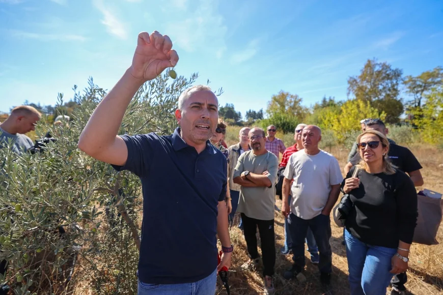 Buca Belediyesi’nin Sertifikalı Zeytin Budama Eğitimi Tamamlandı, Üreticilere Sertifikaları Verildi