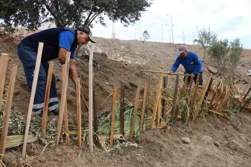 İzmir Büyükşehir Belediyesi Buca’da 5 Dönümlük Alanı 392 Bitkiyle Yeşillendiriyor