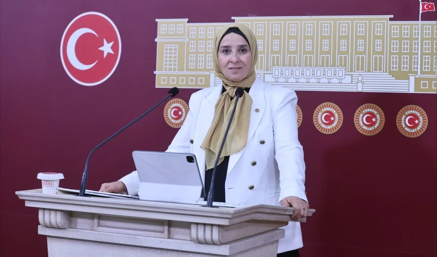 DEVA Partisi Genel Başkan Yardımcısı Elif Esen: “Bu bütçenin adı sizin için refah değil, veda bütçesi olacak!”