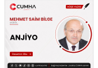 ANJİYO