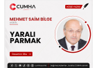 YARALI PARMAK