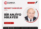 BİR ANJİYO HİKAYESİ