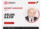 ASLAN KAYIP