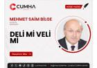 DELİ Mİ VELİ Mİ