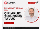 ÇIPLAKLIK: YOLUNMUŞ TAVUK