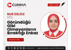 Göründüğü Gibi Olmayanların Bıraktığı Enkaz