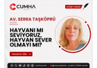 HAYVANI MI SEVİYORUZ, HAYVAN SEVER OLMAYI MI?
