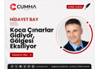 Koca Çınarlar Gidiyor, Gölgesi Eksiliyor