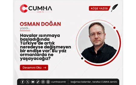 Havalar ısınmaya başladığında Türkiye’de artık neredeyse değişmeyen bir endişe var: Bu yaz ormanlarda ne yaşayacağız?