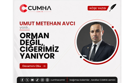 ORMAN DEĞİL, CİĞERİMİZ YANIYOR