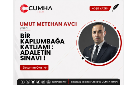 BİR KAPLUMBAĞA KATLİAMI : ADALETİN SINAVI !