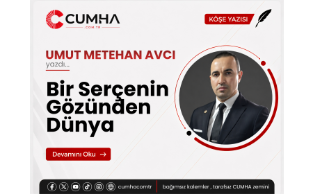 Bir Serçenin Gözünden Dünya