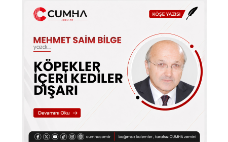 KÖPEKLER İÇERİ KEDİLER DIŞARI
